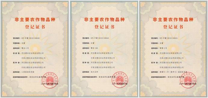 ���g22��(�й���)�������-�����о�ϲ