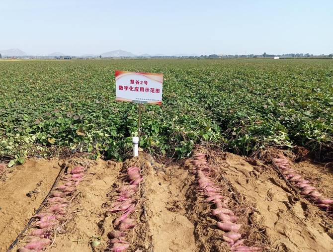 ���g22��(�й���)�������-�����о�ϲ