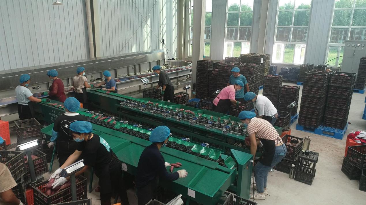 ���g22��(�й���)�������-�����о�ϲ