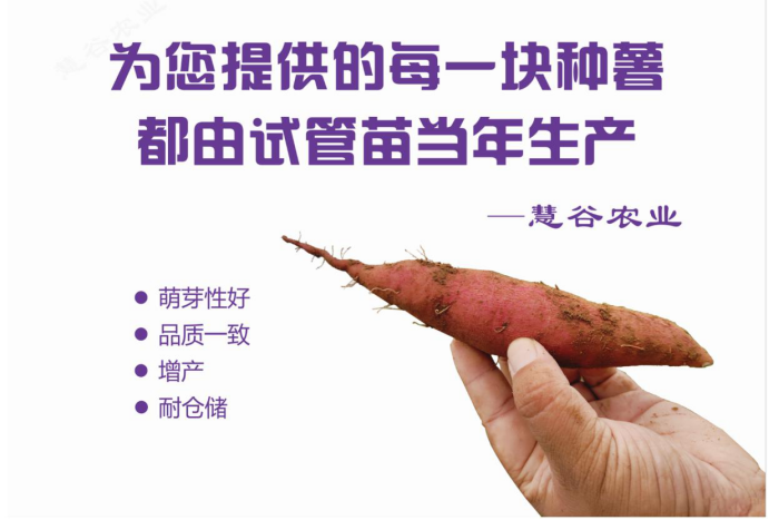 ���g22��(�й���)�������-�����о�ϲ