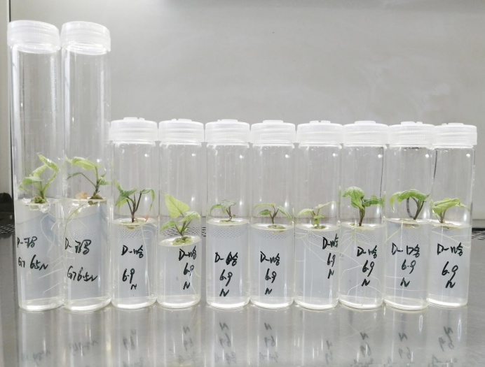 ���g22��(�й���)�������-�����о�ϲ