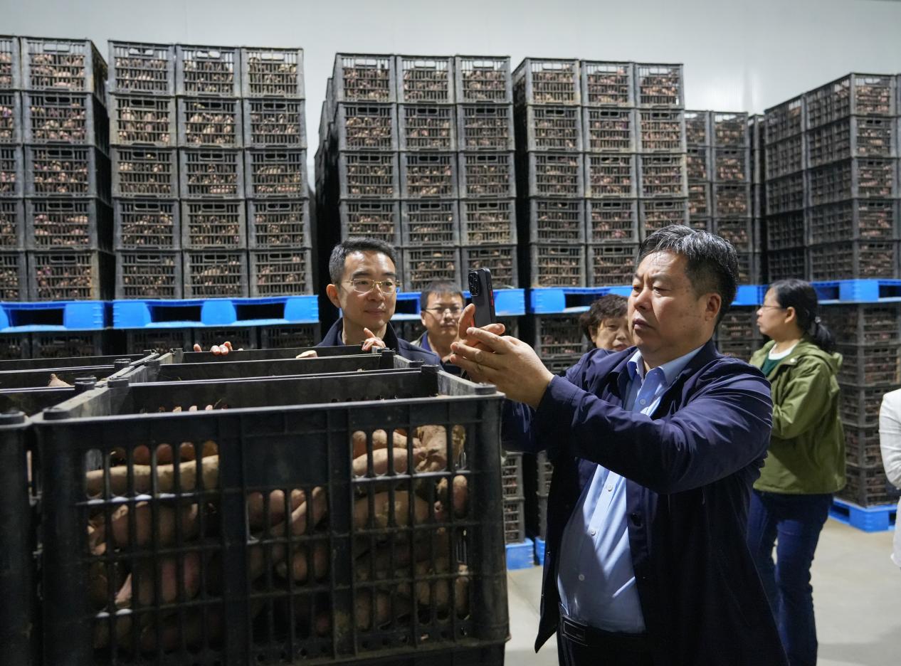 ���g22��(�й���)�������-�����о�ϲ