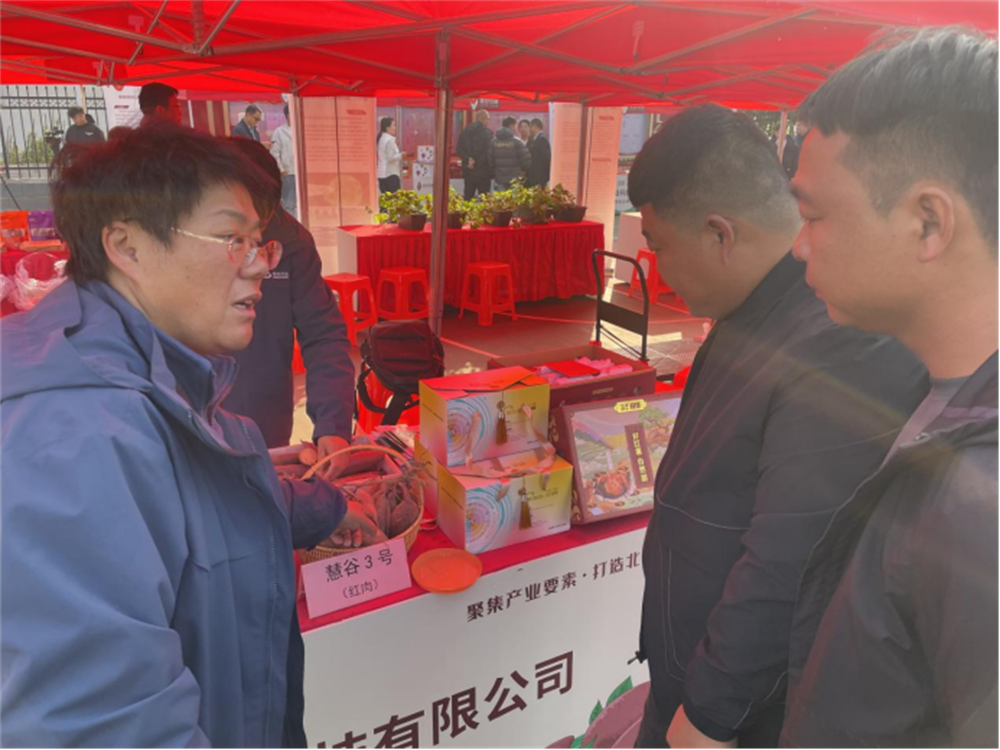 ���g22��(�й���)�������-�����о�ϲ