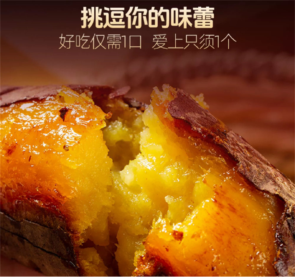 ���g22��(�й���)�������-�����о�ϲ