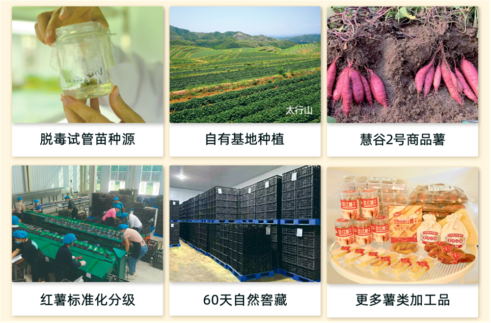 ���g22��(�й���)�������-�����о�ϲ