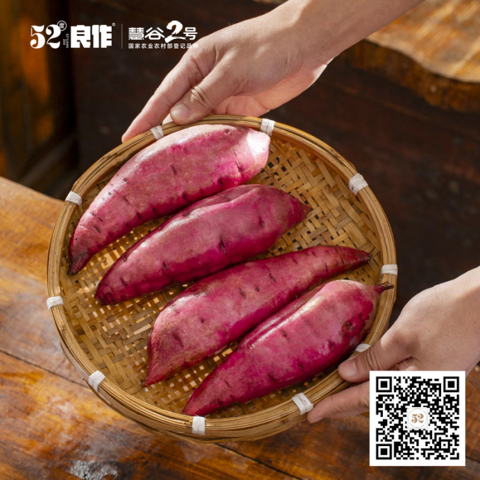 ���g22��(�й���)�������-�����о�ϲ