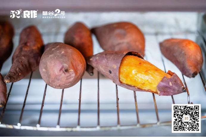 ���g22��(�й���)�������-�����о�ϲ