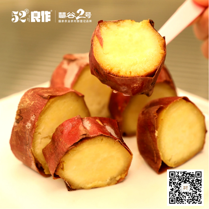 ���g22��(�й���)�������-�����о�ϲ