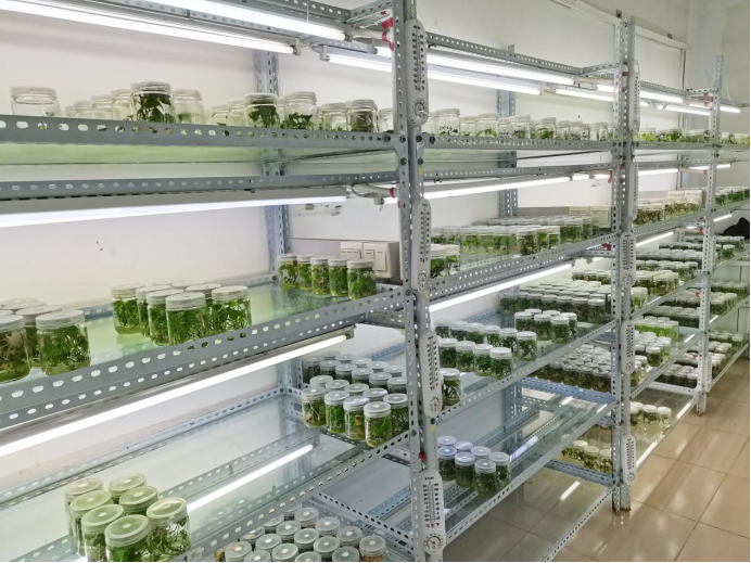 ���g22��(�й���)�������-�����о�ϲ