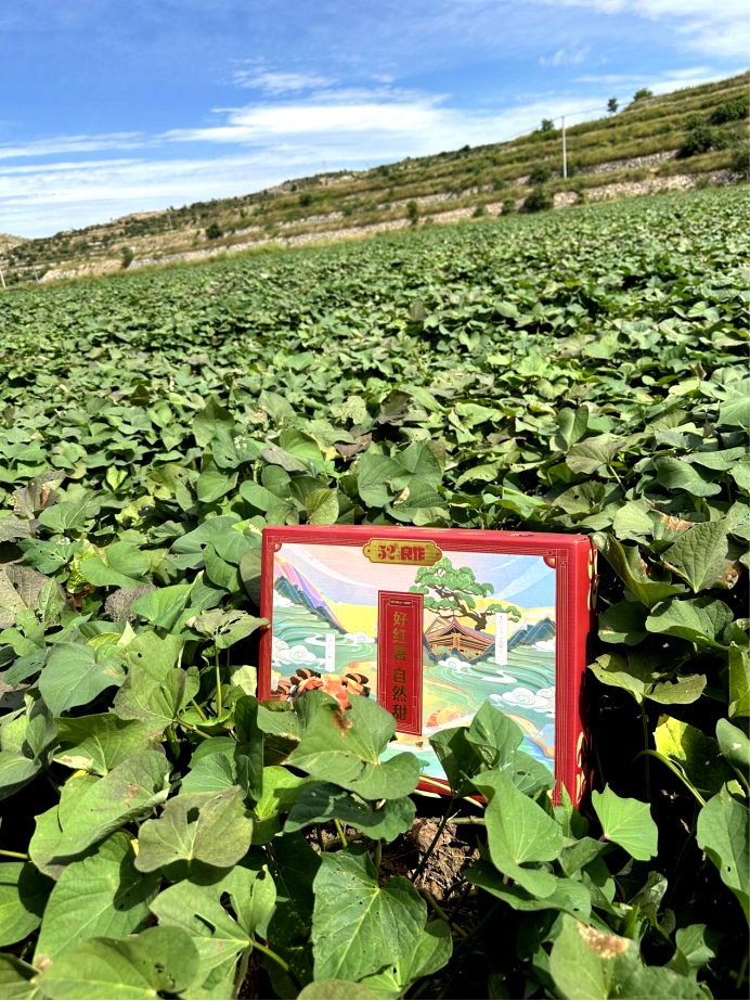 ���g22��(�й���)�������-�����о�ϲ