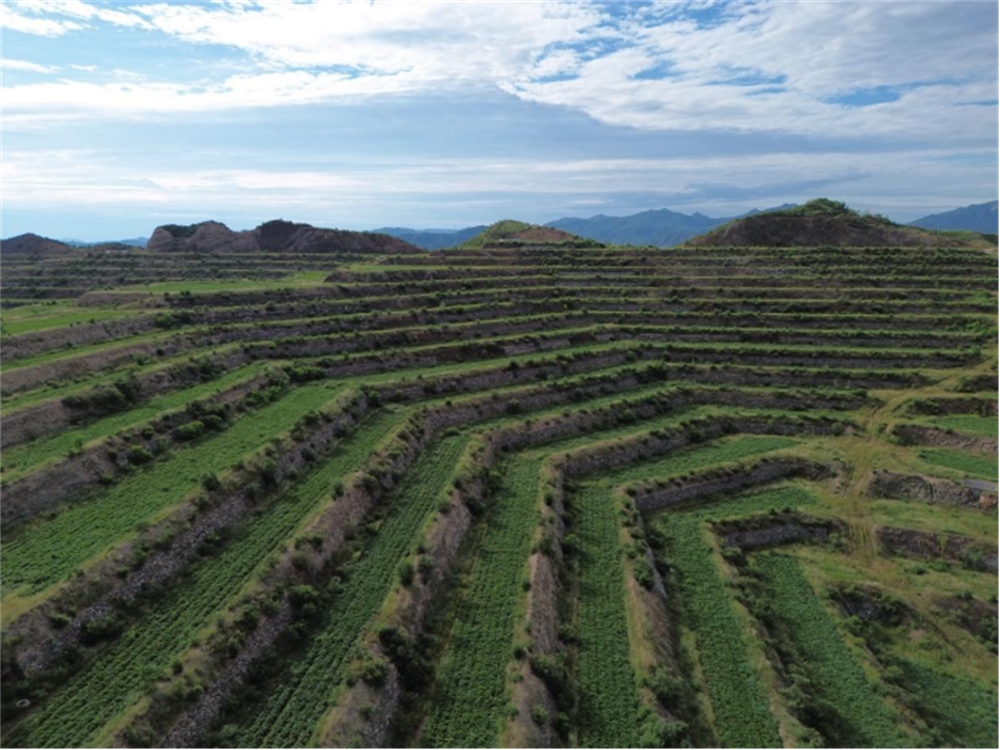 ���g22��(�й���)�������-�����о�ϲ