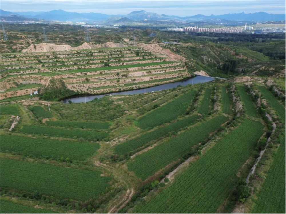 ���g22��(�й���)�������-�����о�ϲ