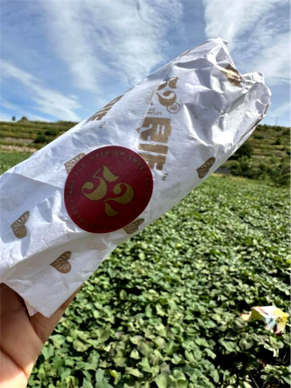 ���g22��(�й���)�������-�����о�ϲ