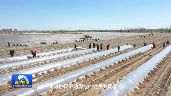 ���g22��(�й���)�������-�����о�ϲ