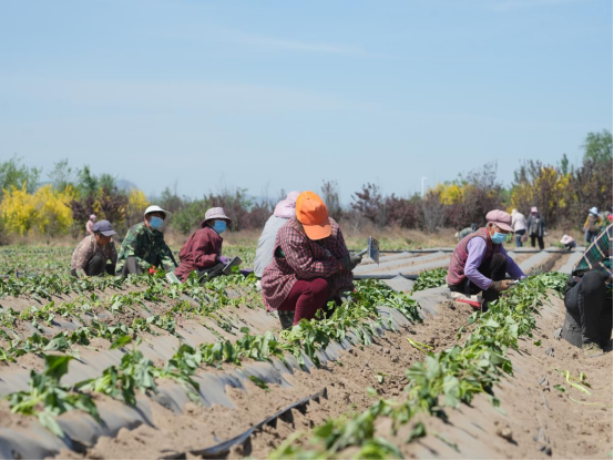 ���g22��(�й���)�������-�����о�ϲ