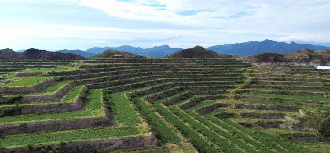 ���g22��(�й���)�������-�����о�ϲ