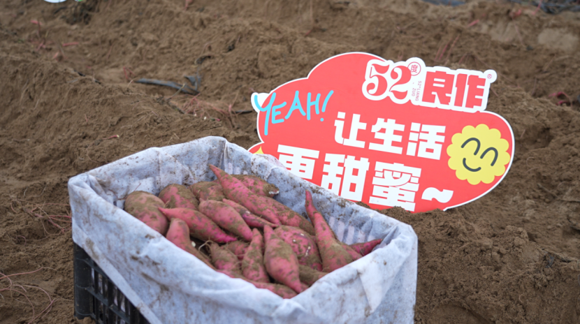 ���g22��(�й���)�������-�����о�ϲ