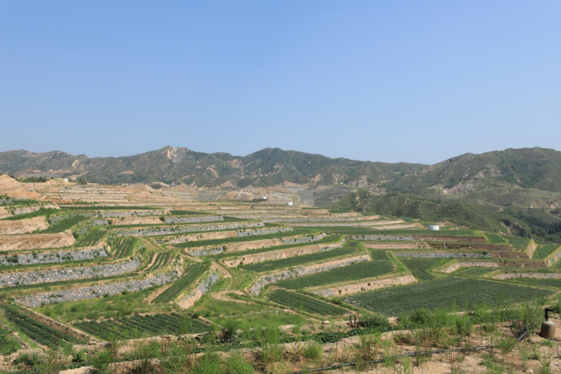 ���g22��(�й���)�������-�����о�ϲ