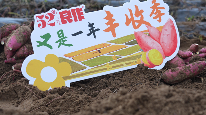 ���g22��(�й���)�������-�����о�ϲ