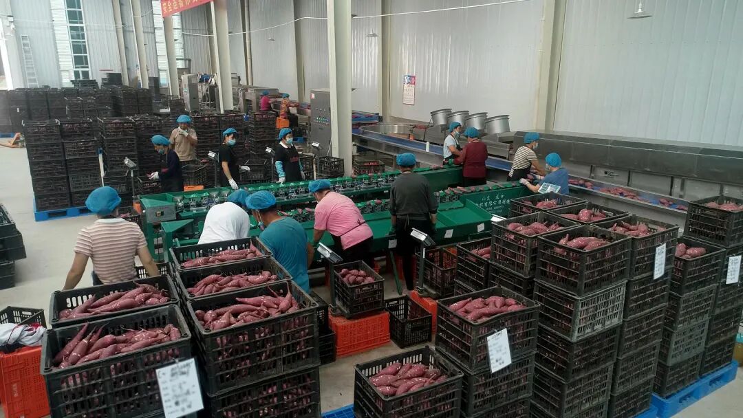 ���g22��(�й���)�������-�����о�ϲ