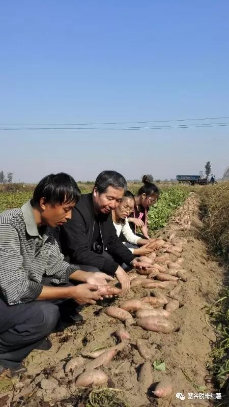 ���g22��(�й���)�������-�����о�ϲ