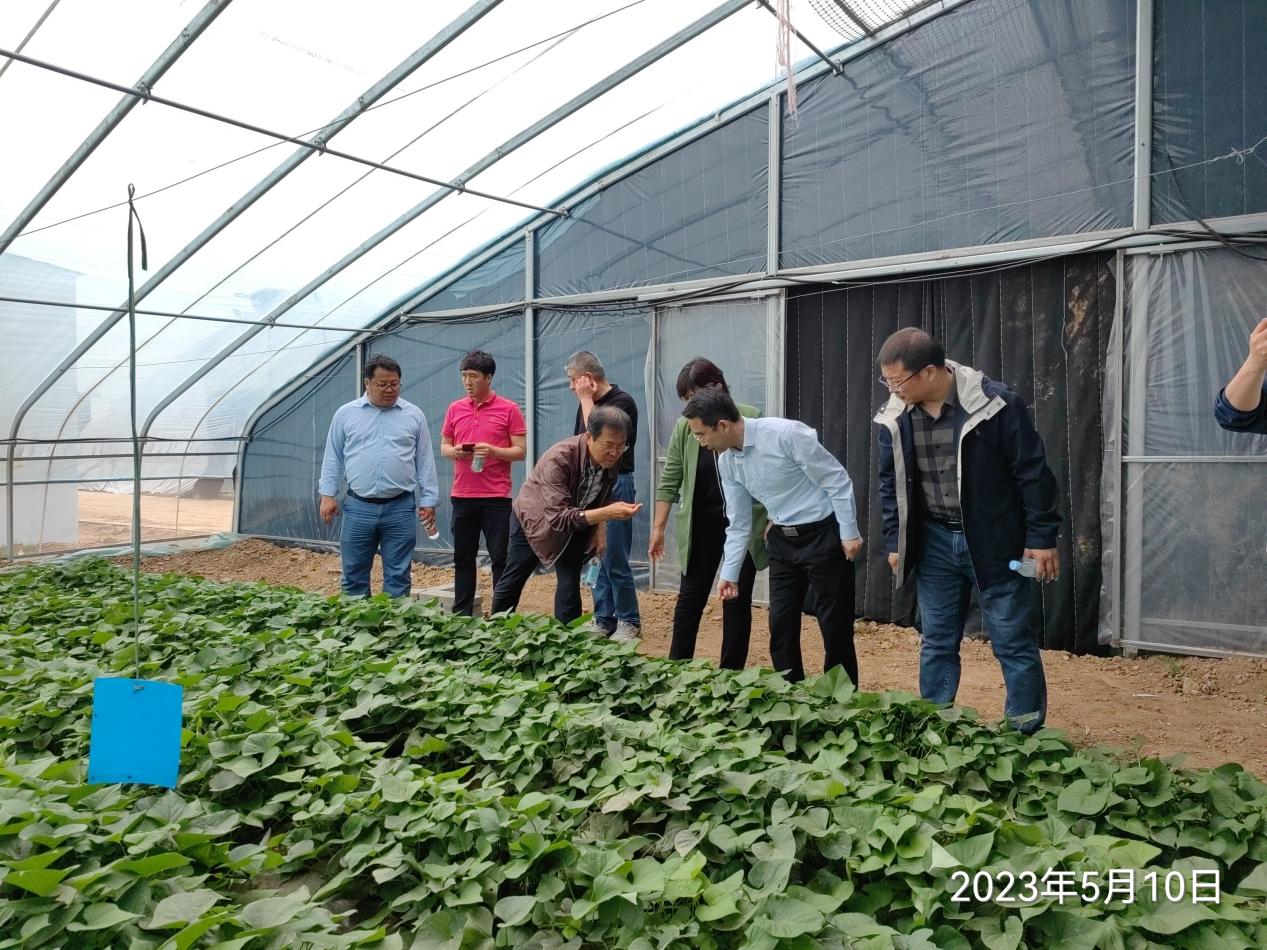 ���g22��(�й���)�������-�����о�ϲ