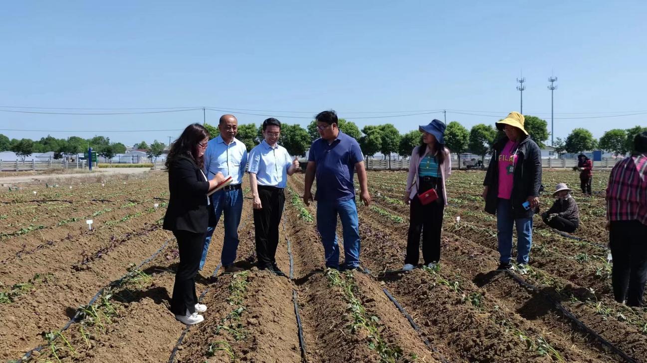 ���g22��(�й���)�������-�����о�ϲ